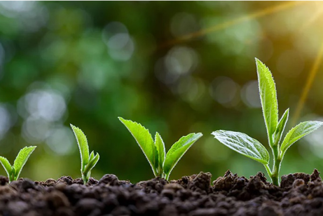 JEPLANへのグリーンボンド投資