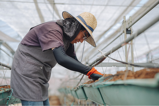 農業による地域共生