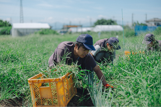 培ったノウハウを自社農園、そして食へ