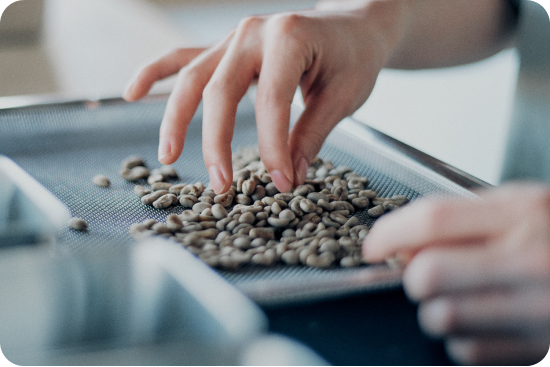 農から広がる食の輪